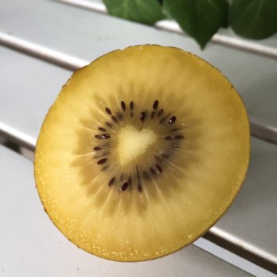 Texte über Ernährungsthemen müssen schmecken wie Kiwi mit Herz